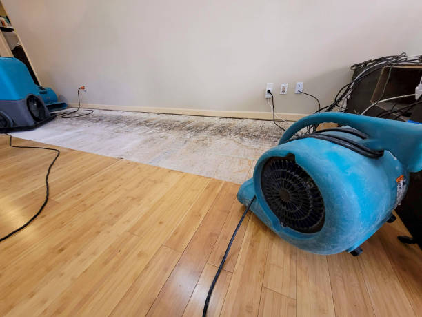 Professional Water Damage Repair technician working in New Hope, MS